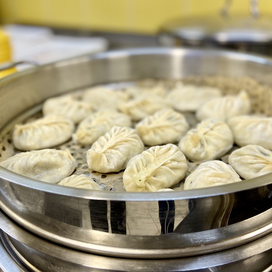 Life in a small Rajasthan village, India